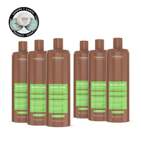 Kit de Reestruturação Molecular Tanino Orgânica Burix One 1L - 6 unidades