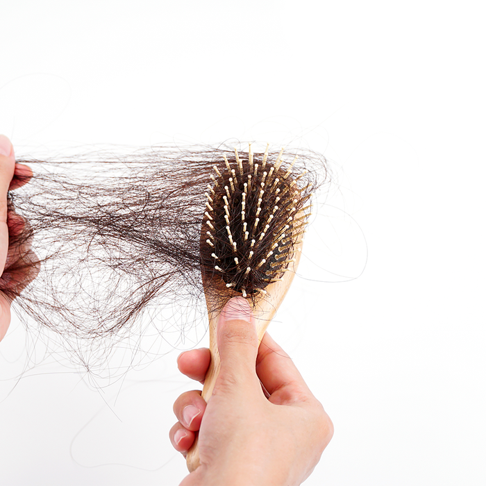 O cabelo não cresce porque a raiz não está ativa.