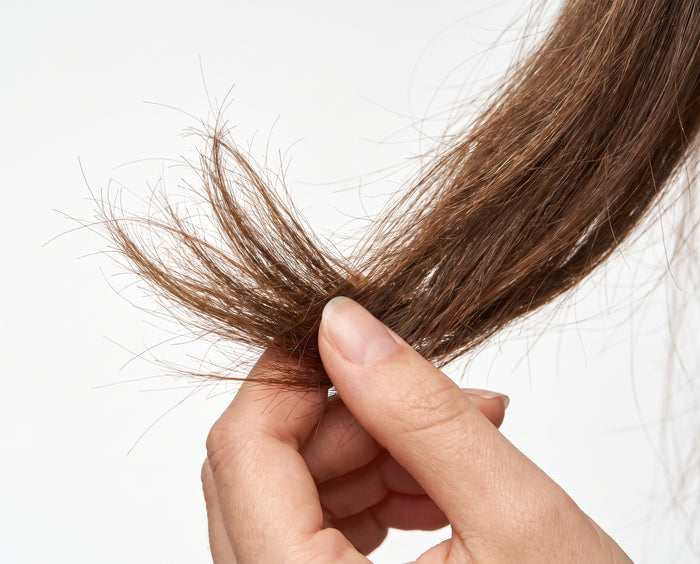 O frizz começa na cutícula aberta, não no comprimento.