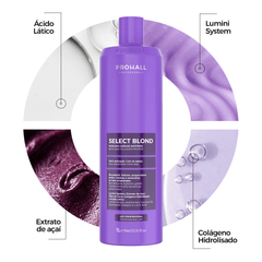 Máscara Antifrizz para fios Loiros e Coloridos - Select Blond 1L - Prohall
