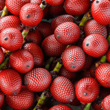 Óleo de Buriti da Amazônia