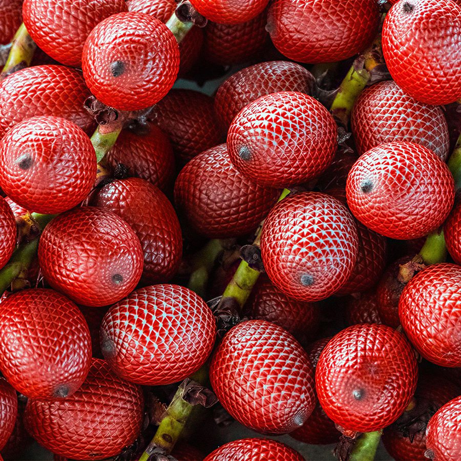 Óleo de Buriti da Amazônia