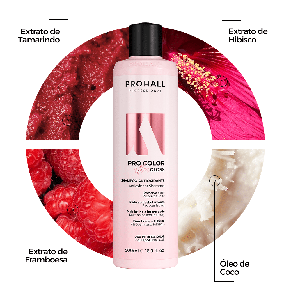 Shampoo Antioxidante: Protege e Prolonga a Cor | After Gloss - Prohall