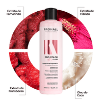 Shampoo Antioxidante: Protege e Prolonga a Cor | After Gloss - Prohall