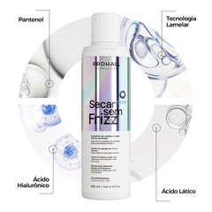 Shampoo de Limpeza Suave Antifrizz | Secar sem Frizz 250ml - Prohall