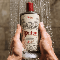 Shampoo Masculino 3 em 1 Limpeza, Fortalecimento e Nutrição | Selve Putos Machos 400ml - Prohall