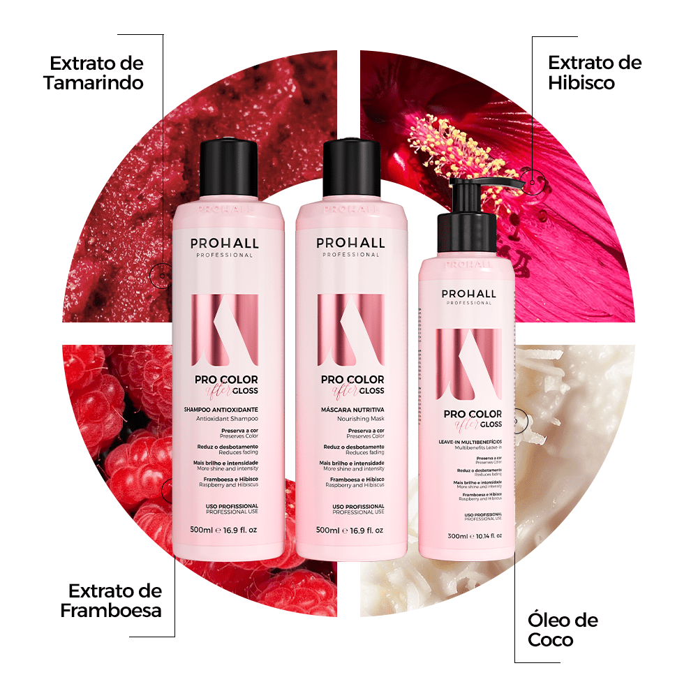Tratamento Completo Pós-Coloração: Cor Viva e Protegida por Mais Tempo | After Gloss - Prohall