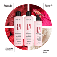 Tratamento Completo Pós-Coloração: Cor Viva e Protegida por Mais Tempo | After Gloss - Prohall